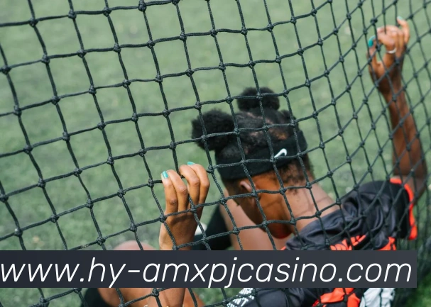 澳门新葡京娱乐发展历程